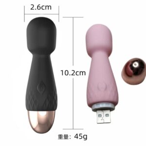 Microfono Recargable Lilo Mini