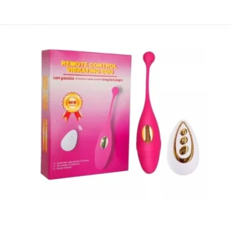 Huevo Vibrador Recargable USB con Control Remoto Purpura